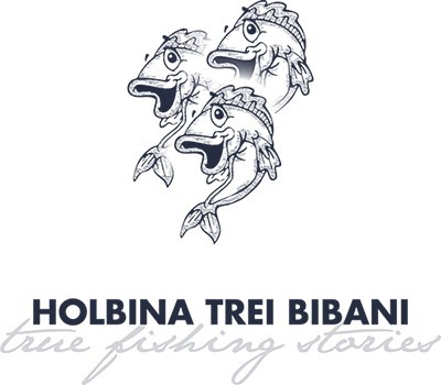 Logo Hollbina