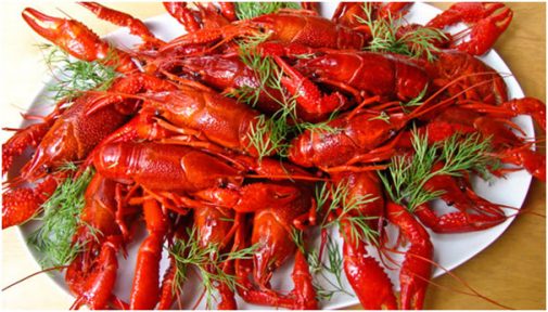 Taverna Racilor