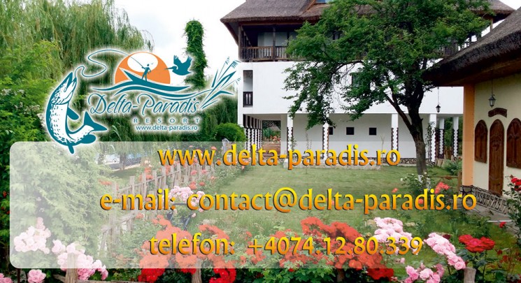 Delta Paradis