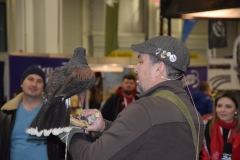fhexpo2020-10