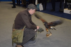 fhexpo2020-17