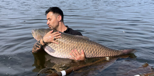 4karp