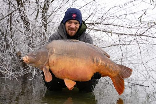dudi baits