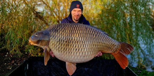 dudi baits