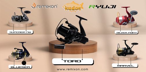 Remixon