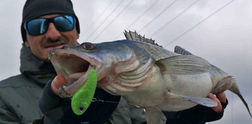 ticu fishing