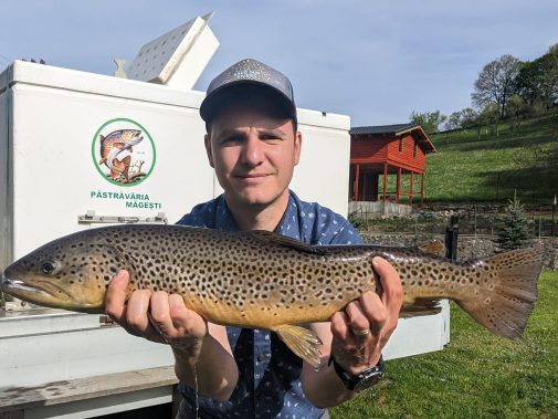 aqua crisius