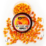 RMFBaits participa la F&H Expo