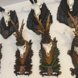 Mike Hunting participa la Fishing & Hunting Expo