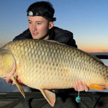 Vampire participa la F&H Expo